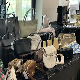 Purse Bingo