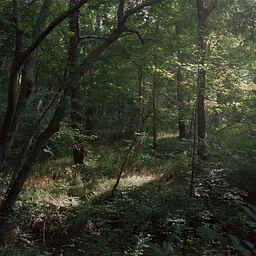 Opening Reception & Artist Talk for Slow Drift