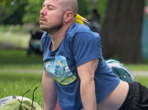 Yoga in the Park