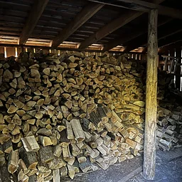 Fill the Woodshed Work Bee