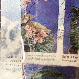 Image Transfers for Collage