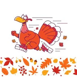 Turkey Trot 5k (Hornell)