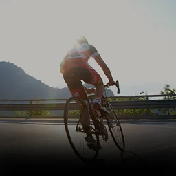 Dancing Bear’s 12th Annual Bike Bash