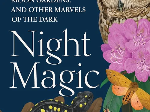 Night Magic: Adventures Among Glowworms, Moon Gardens, and Other Marvels of the Dark