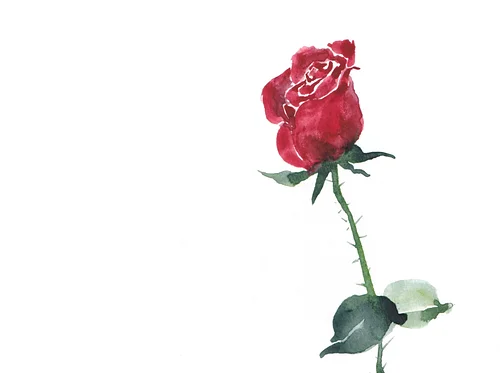 Watercolor Workshop: Roses