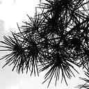 Creative Happy Hour: Sumi Ink