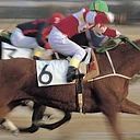 Oneida County Horse Races