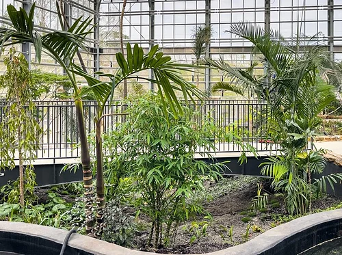 Habitat to Houseplants: A History of Indoor Gardening & Greenhouse Technology