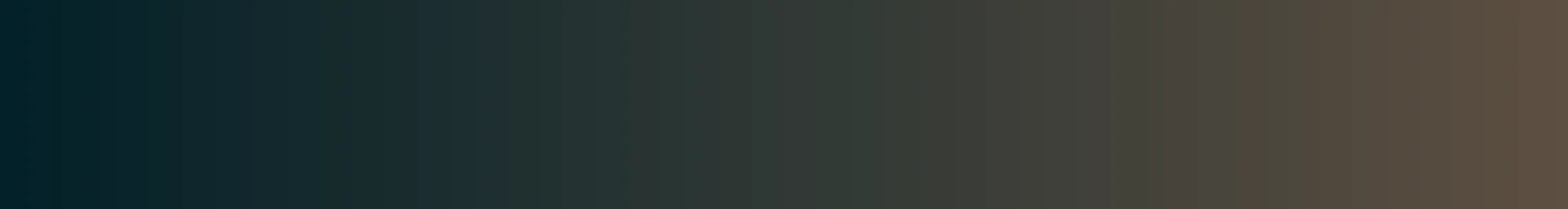 Videri Chocolate Factory