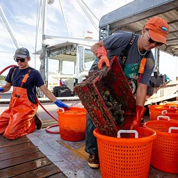 Waypoints Webinar: The Economic Impact of Maine Aquaculture