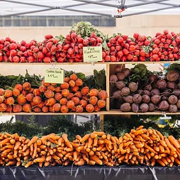 Red River Market: Labor Day Market presented by The Pilates House