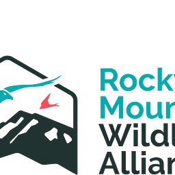 Wildlife Animal Fun