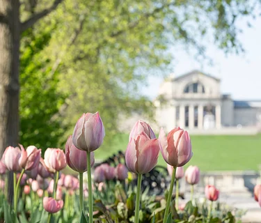 (Opening Date) Visions of Antiquity