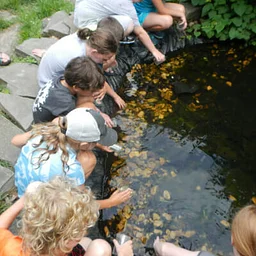 Fall Nature Lab