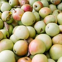 LoCo Cider Fest