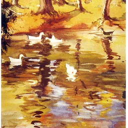 Watercolor Workshop