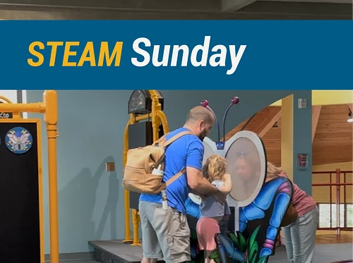 STEAM Sunday: See Like A Bee