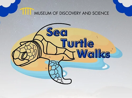 2026 Sea Turtle Walks