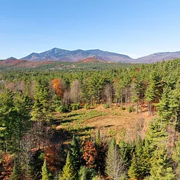 Explore Our Trails