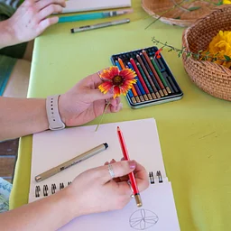 Introduction to Nature Journaling Workshop: Line & Shape