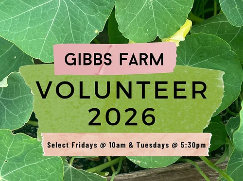 Friday Volunteer Days July 24