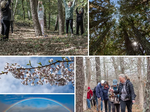 Earth Day Nature Retreat