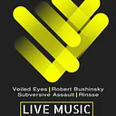 Veiled Eyes, Robert Bushinsky, Subversive Assault, & Rinsse
