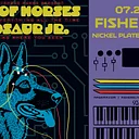 Band of Horses + Dinosaur Jr.