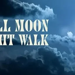 Full Moon Night Walk at Mason Mill Park