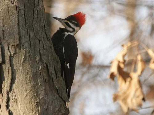 Danny Pratt Photography Exhibit