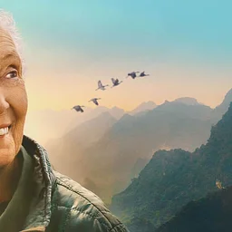 Jane Goodall – Reason For Hope