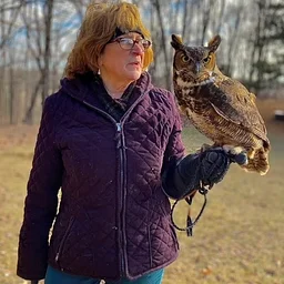Raptors of Connecticut