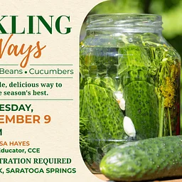 Pickling 3 Ways