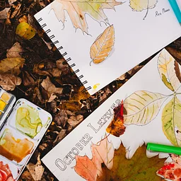The Nest Nature Journal Club: Fall Series