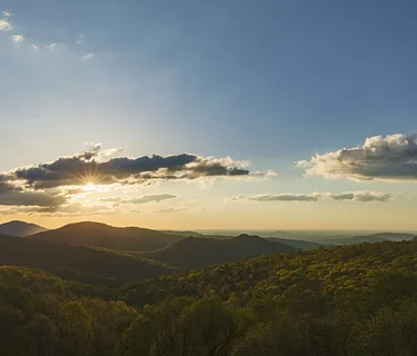 Green Drinks with CAAV