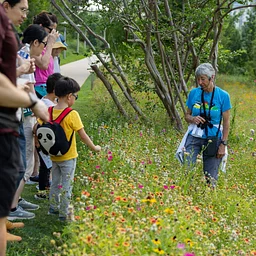 Nature Walking Tour