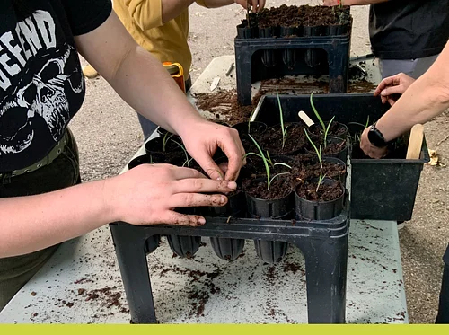 Propagation Workday