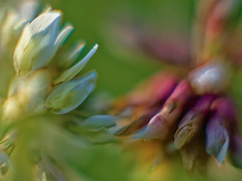 Art and Not Art: Matthew Klein Discusses the Blurred Line with David Levy