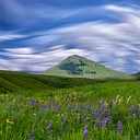 Opening Reception: Wild Landscape – Zumwalt Revisited