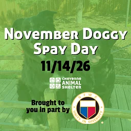 November Doggy Spay Day