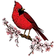 Redbird Listening Room