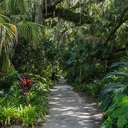Wonders of McKee Garden Tours