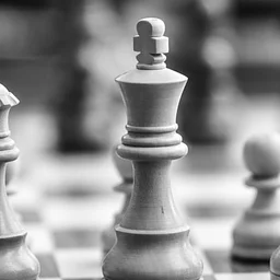Chess Club