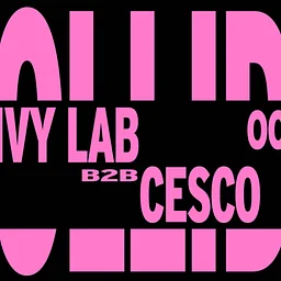 COLLIDE | Ivy Lab b2b Cesco