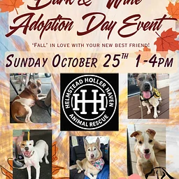 Bark & Wine Adoption Event