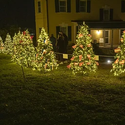 Marshall Plan Tree Walk Lighting Ceremony 2026
