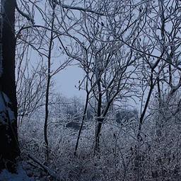 Winter Solstice Hike