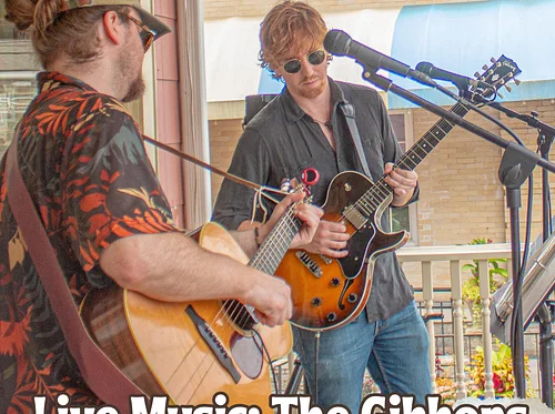Live Music: The Gibbons