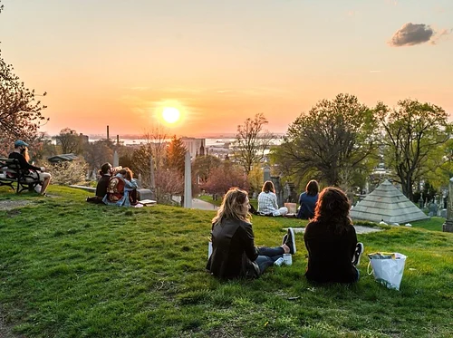 After Hours Picnic (Members Only)