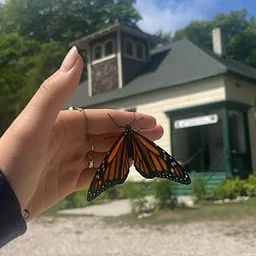 Washington Island Art & Nature